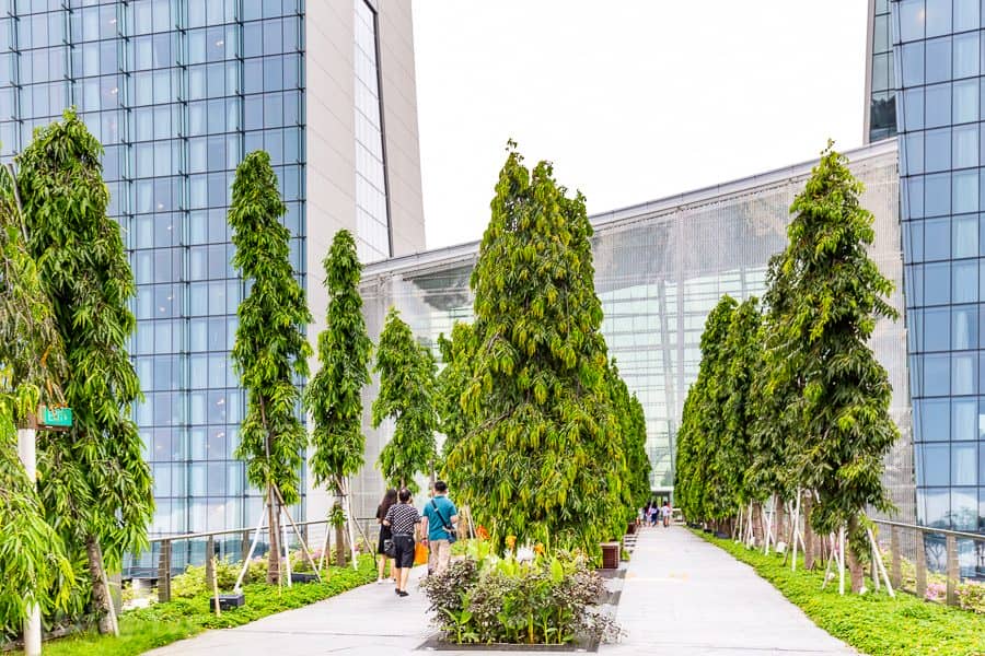 【新加坡濱海灣花園景點】天空樹、空中步道、花穹、霧林溫室怎麼玩（含門票與交通攻略）