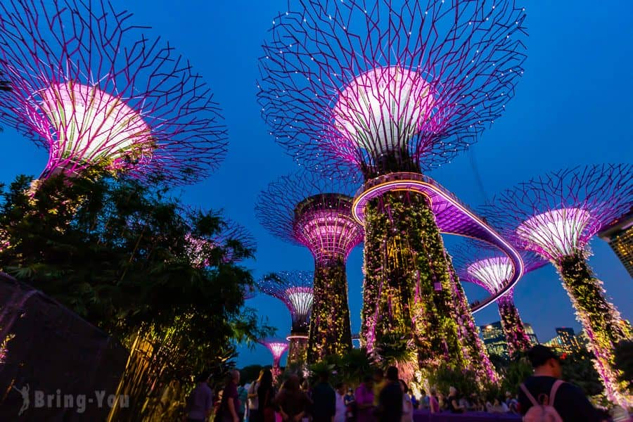 【新加坡濱海灣花園景點】天空樹、空中步道、花穹、霧林溫室怎麼玩（含門票與交通攻略）