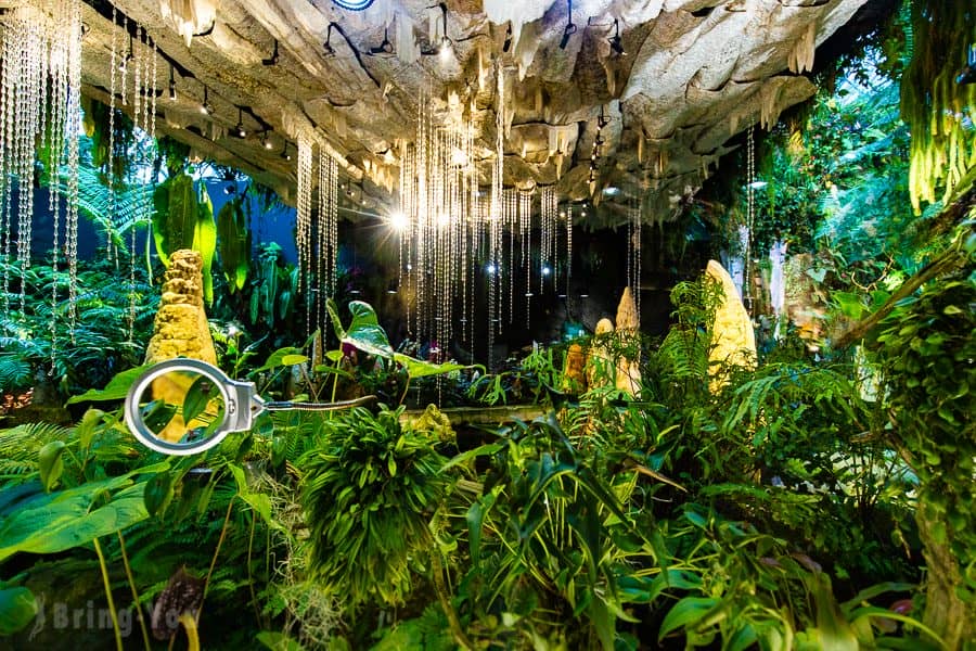 【新加坡濱海灣花園景點】天空樹、空中步道、花穹、霧林溫室怎麼玩（含門票與交通攻略）