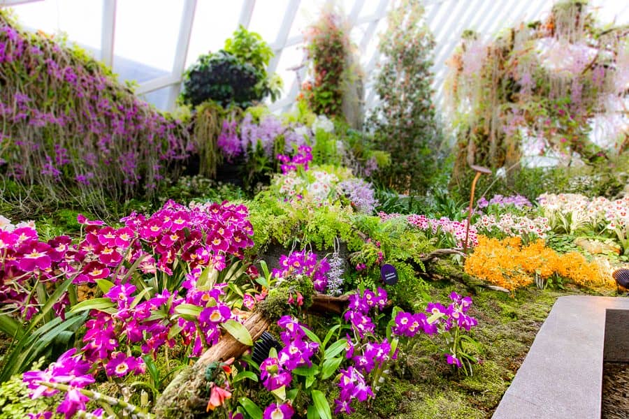 【新加坡濱海灣花園景點】天空樹、空中步道、花穹、霧林溫室怎麼玩（含門票與交通攻略）
