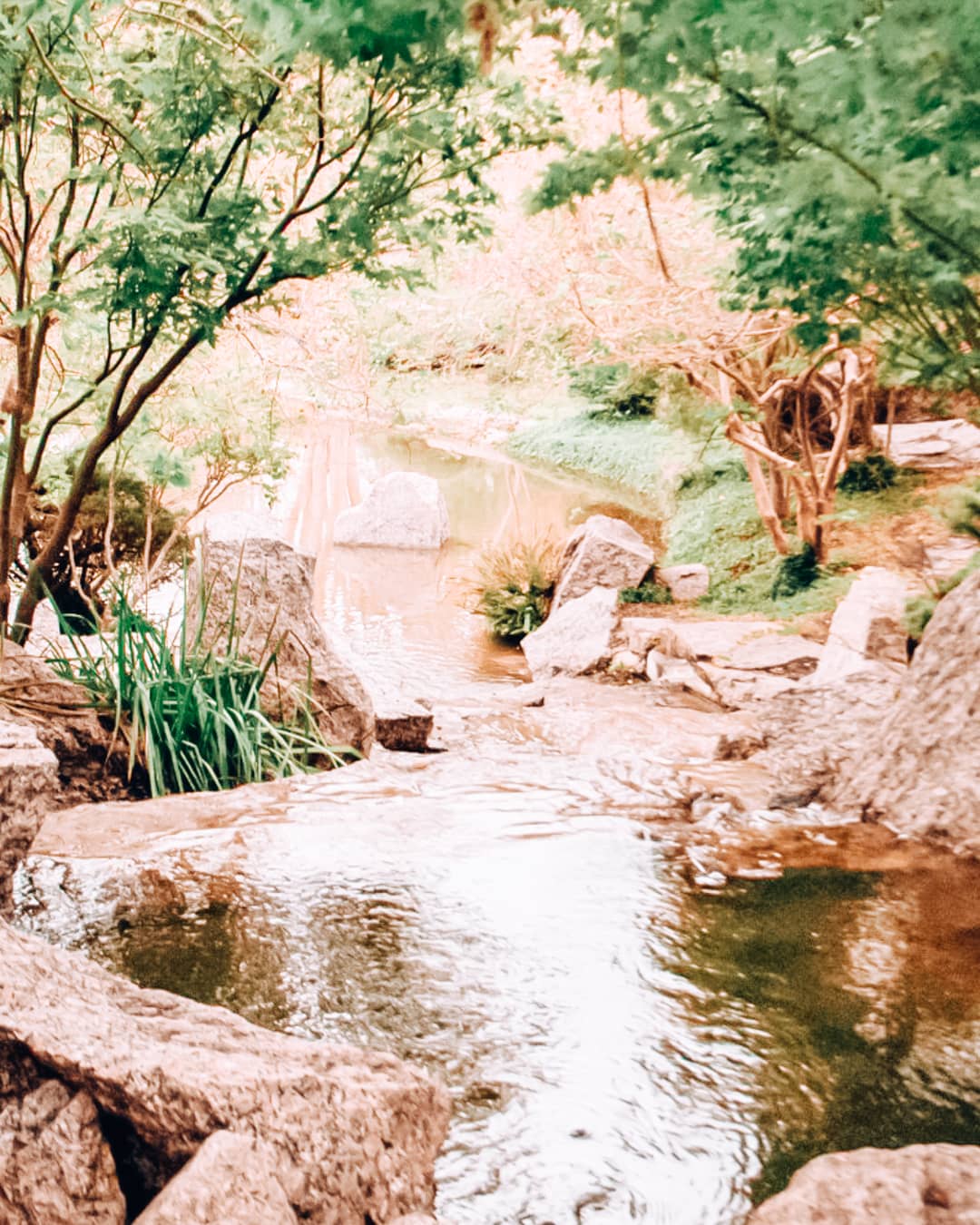 101 Date Ideas in Houston: Romantic Things To Do in Houston