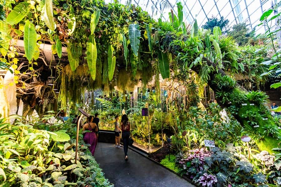 【新加坡濱海灣花園景點】天空樹、空中步道、花穹、霧林溫室怎麼玩（含門票與交通攻略）