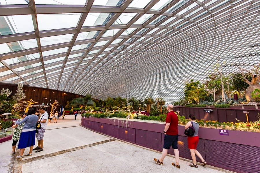 【新加坡濱海灣花園景點】天空樹、空中步道、花穹、霧林溫室怎麼玩（含門票與交通攻略）