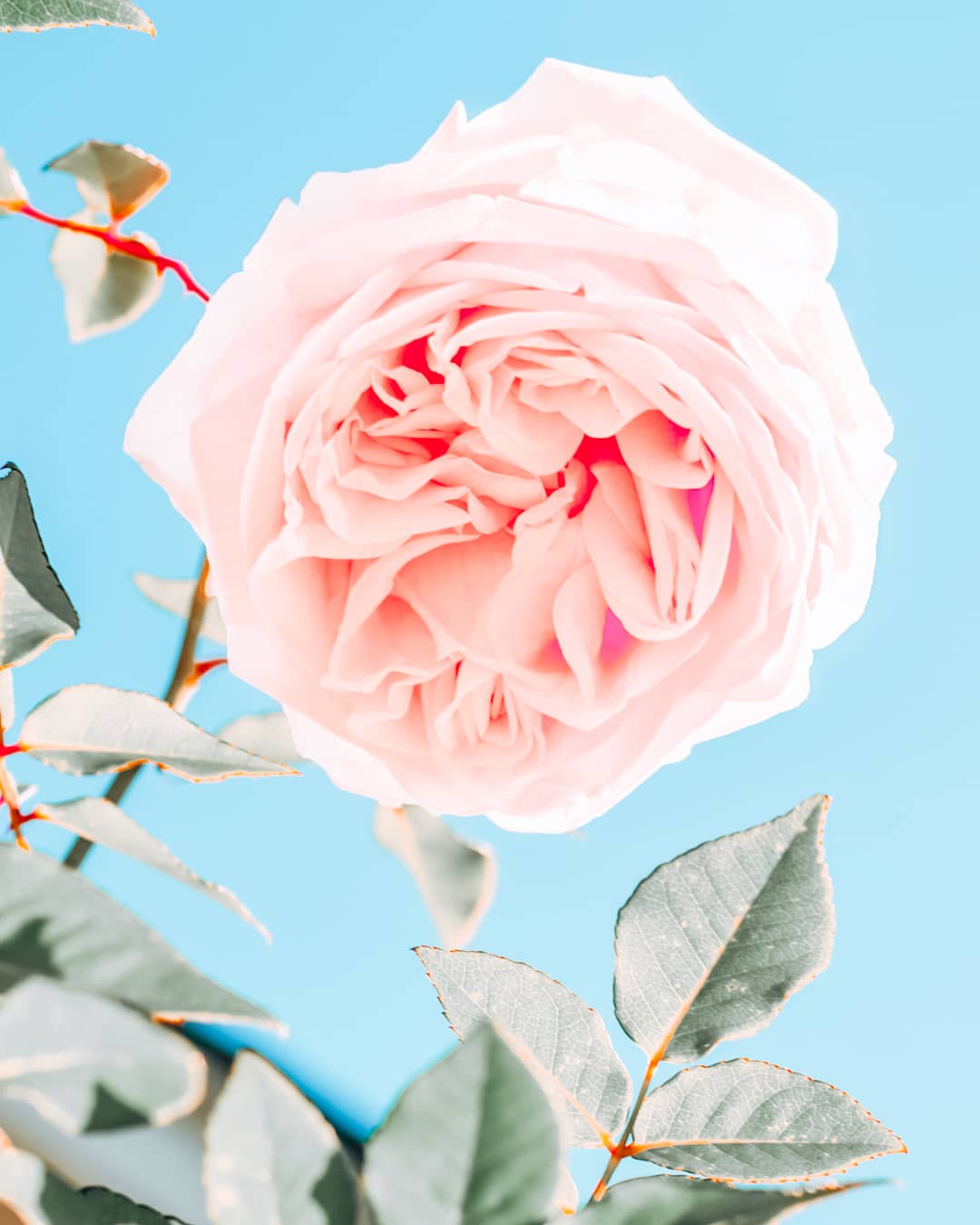 101 Date Ideas in Houston: Romantic Things To Do in Houston