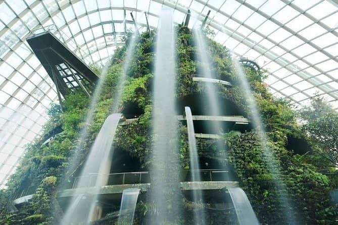 Cloud Forest + Supertree Observatory