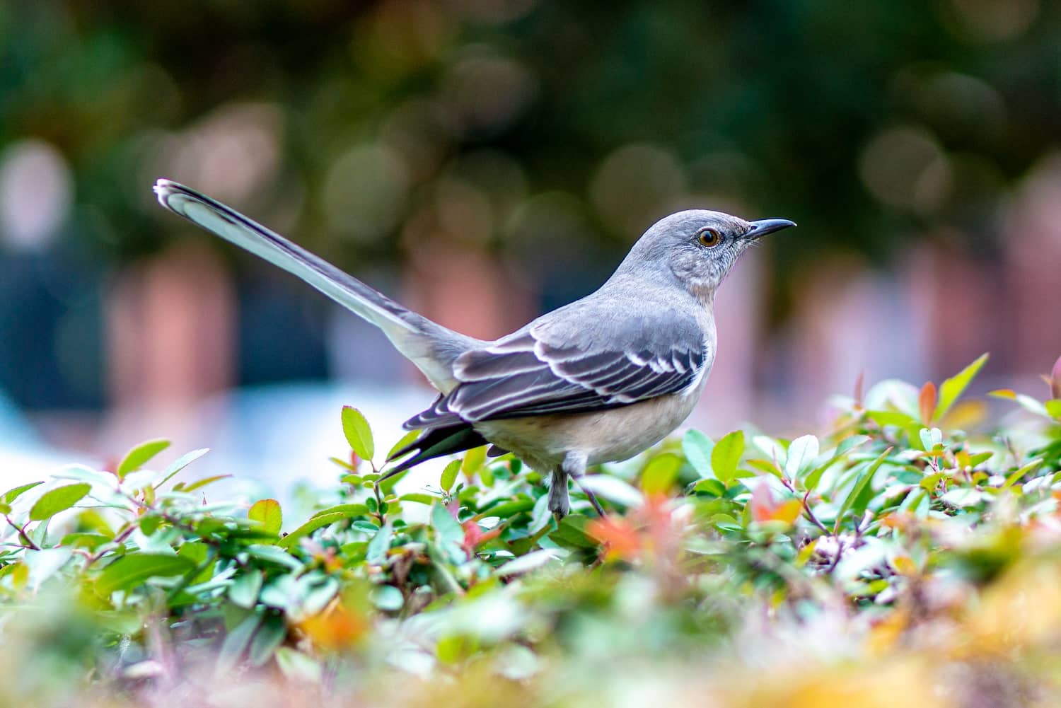 The Best Cloud Storage for Photographers in 2024
