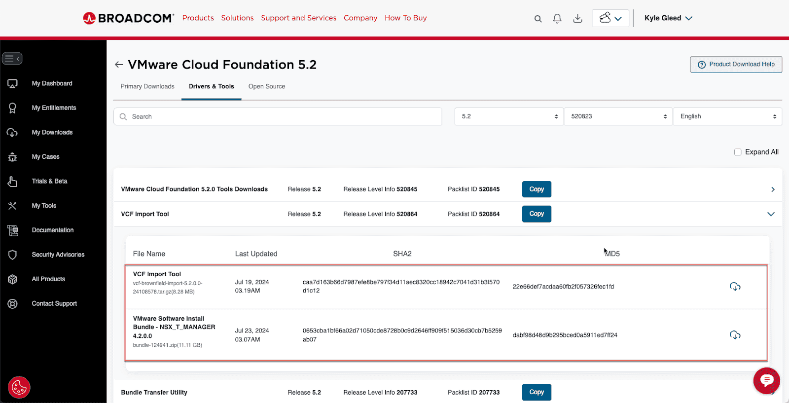 Introduction to the VMware Cloud Foundation (VCF) Import Tool