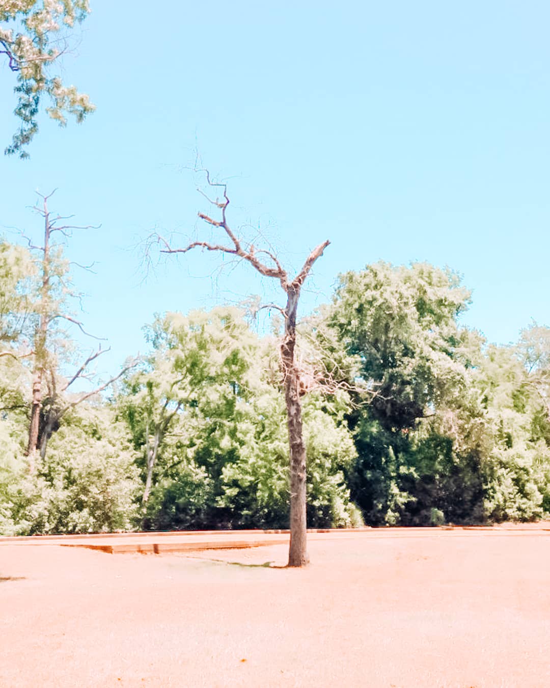 101 Date Ideas in Houston: Romantic Things To Do in Houston