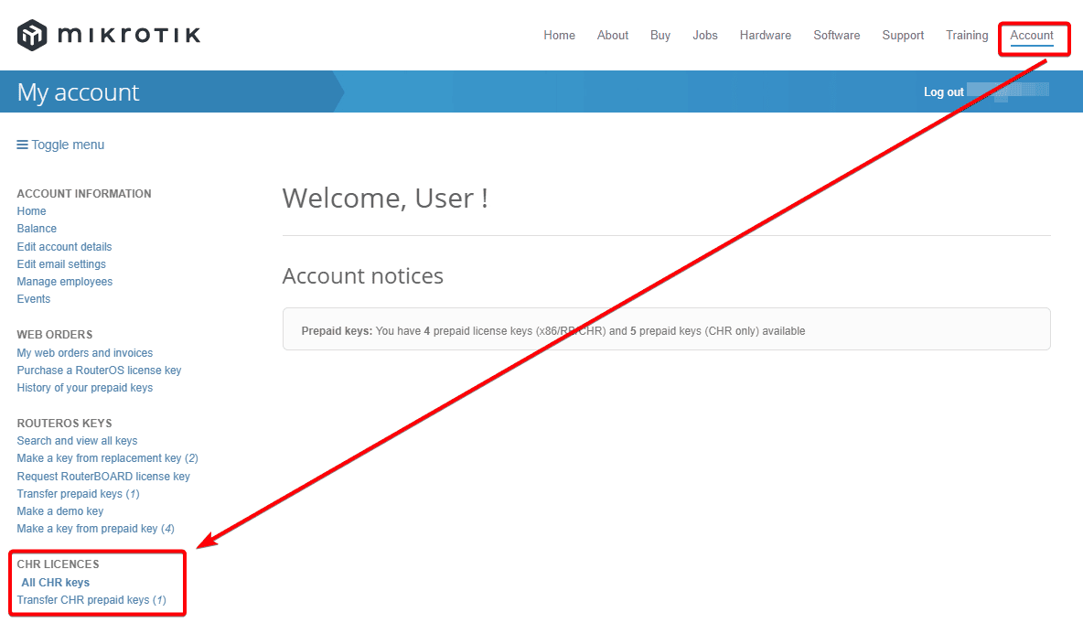 Cloud Hosted Router, CHR