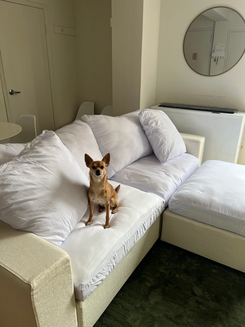 7th Avenue Couch Review 2024: My Thoughts After Months of Testing