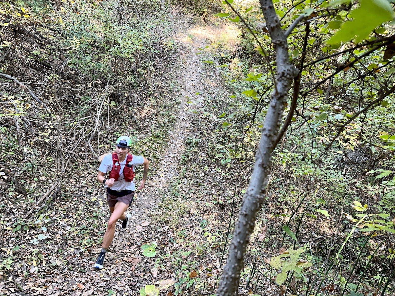 Road Trail Run: ON Cloudultra 2 Multi Tester Review: 5 Comparisons