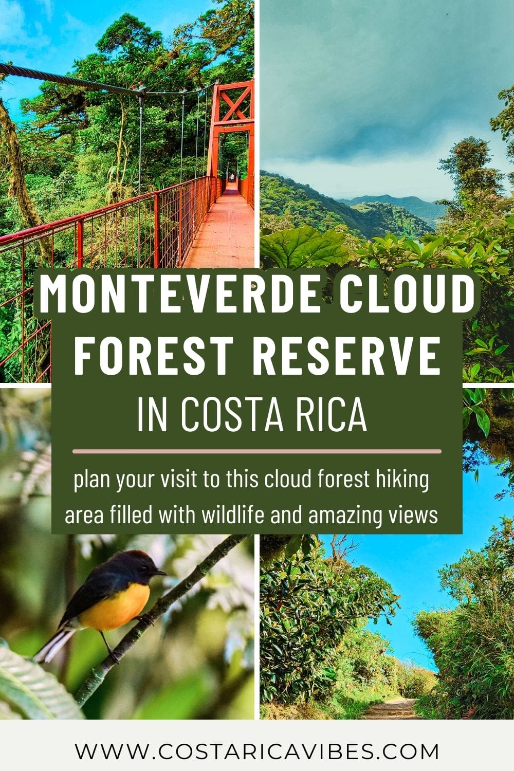 Monteverde Cloud Forest Reserve in Costa Rica: Plan Your Visit