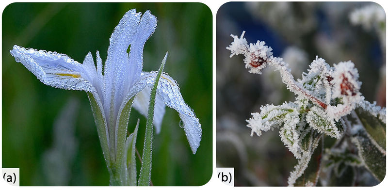 Weather and Atmospheric Water