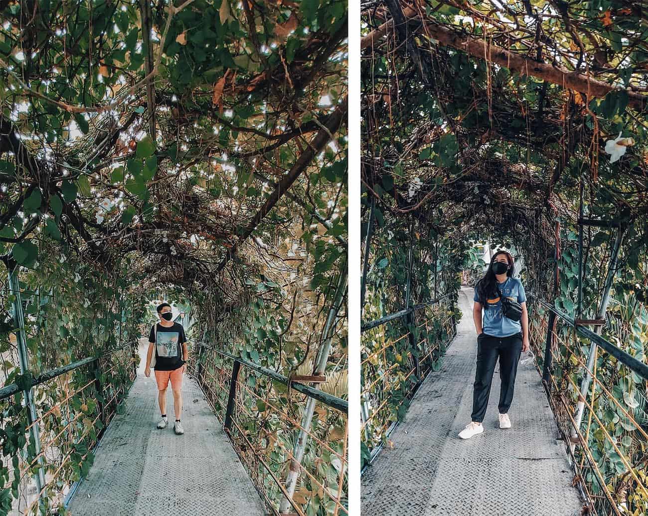 CLOUD 9 ANTIPOLO: View Deck, Hanging Bridge & Restaurant Guide