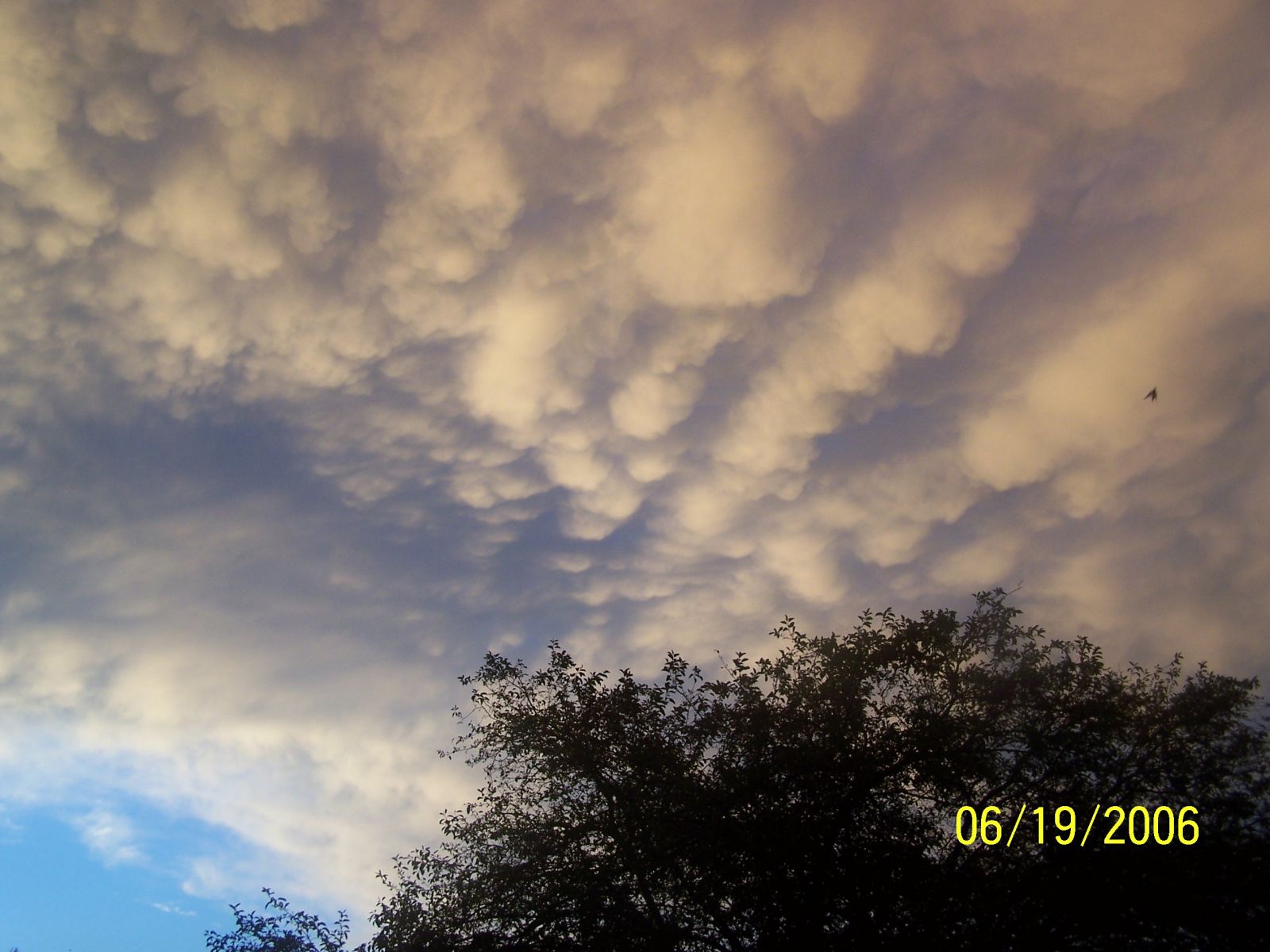 Cloud Classification