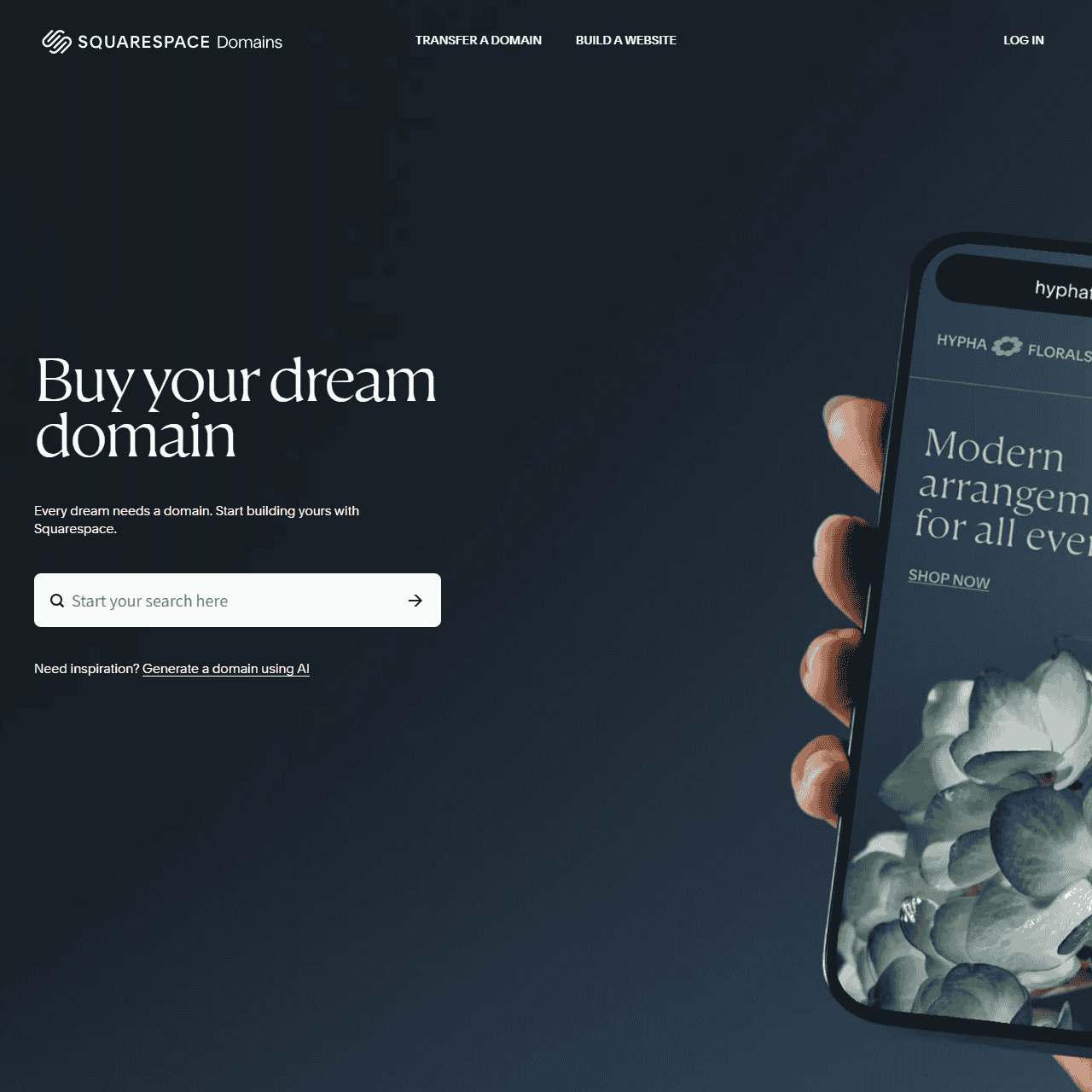 Buy a Domain Name — Domain Name Search — Squarespace Domains