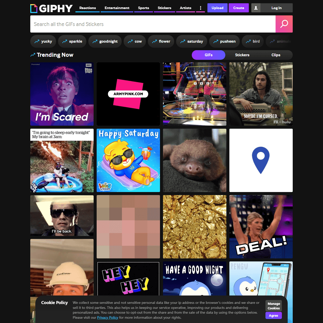 GIPHY